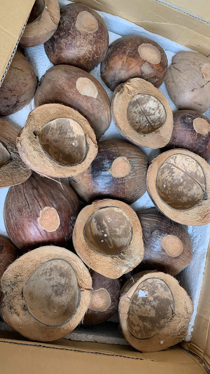 2 x coconut shell mixing bowl with 2 x wooden spoon